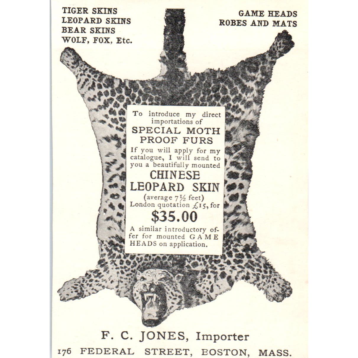 Leopard Skins F.C. Jones Importer Boston Animal Skin c1905 Victorian Ad AE9-MA5