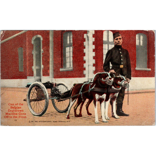 c1918 WWI Belgian Dog-Drawn Machine Gun Vintage Postcard PD9