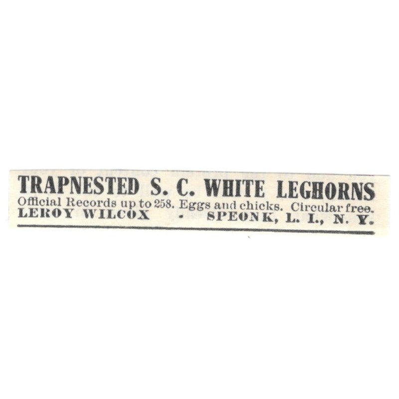 Leroy Wilcox Trap Nested Leghorns Speonk Long Island NY 1924 Ad AG3-S8