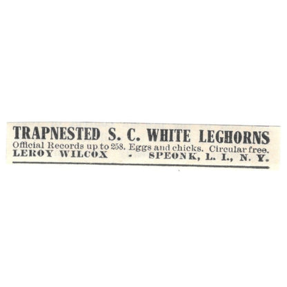 Leroy Wilcox Trap Nested Leghorns Speonk Long Island NY 1924 Ad AG3-S8