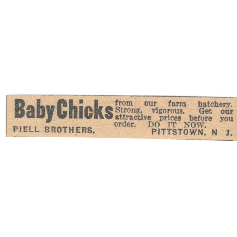 Piell Brothers Baby Chicks Pittstown NJ 1922 Magazine Ad AF2-T1