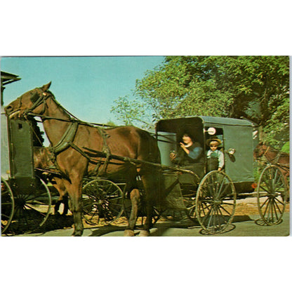 Amish Mother & Child in Market Buggy Pennsylvania Dutch Country Vtg Postcard PD5