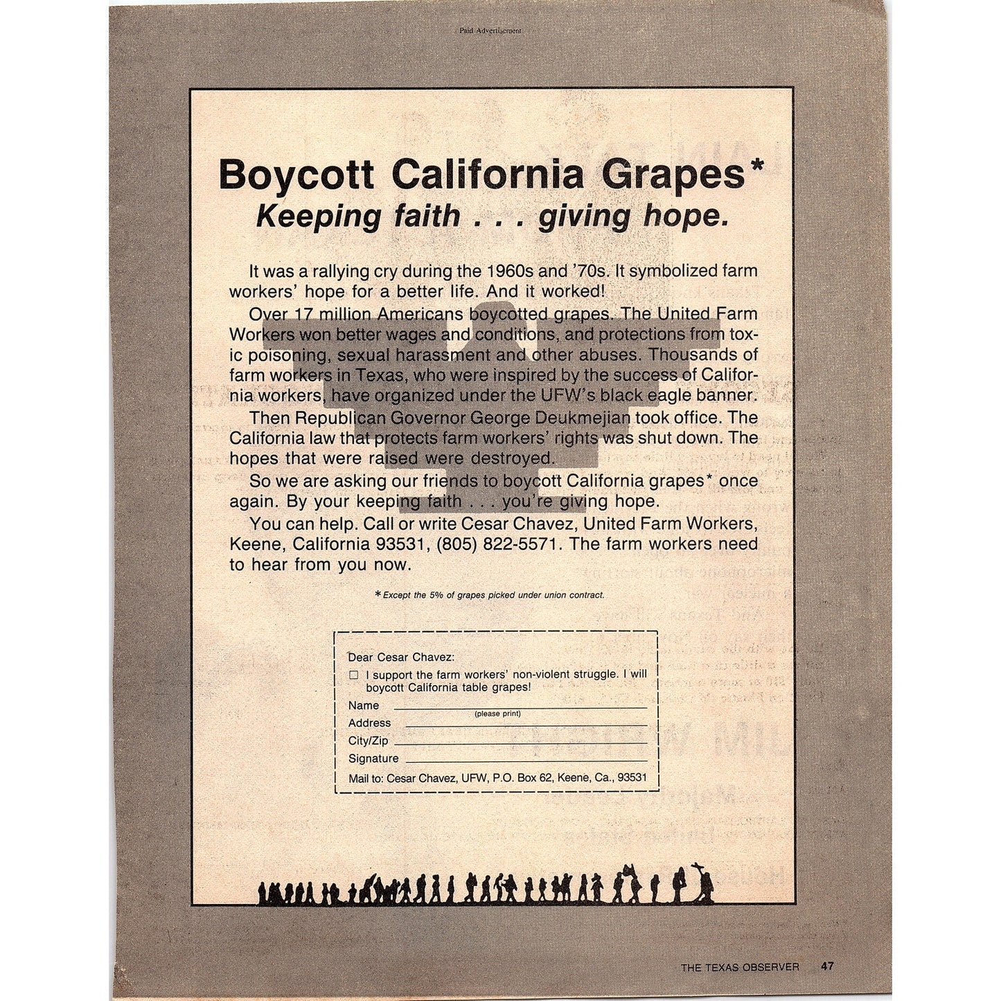 Cesar Chavez Boycott California Grapes United Farm Workers Keene 1984 Ad AF6-9