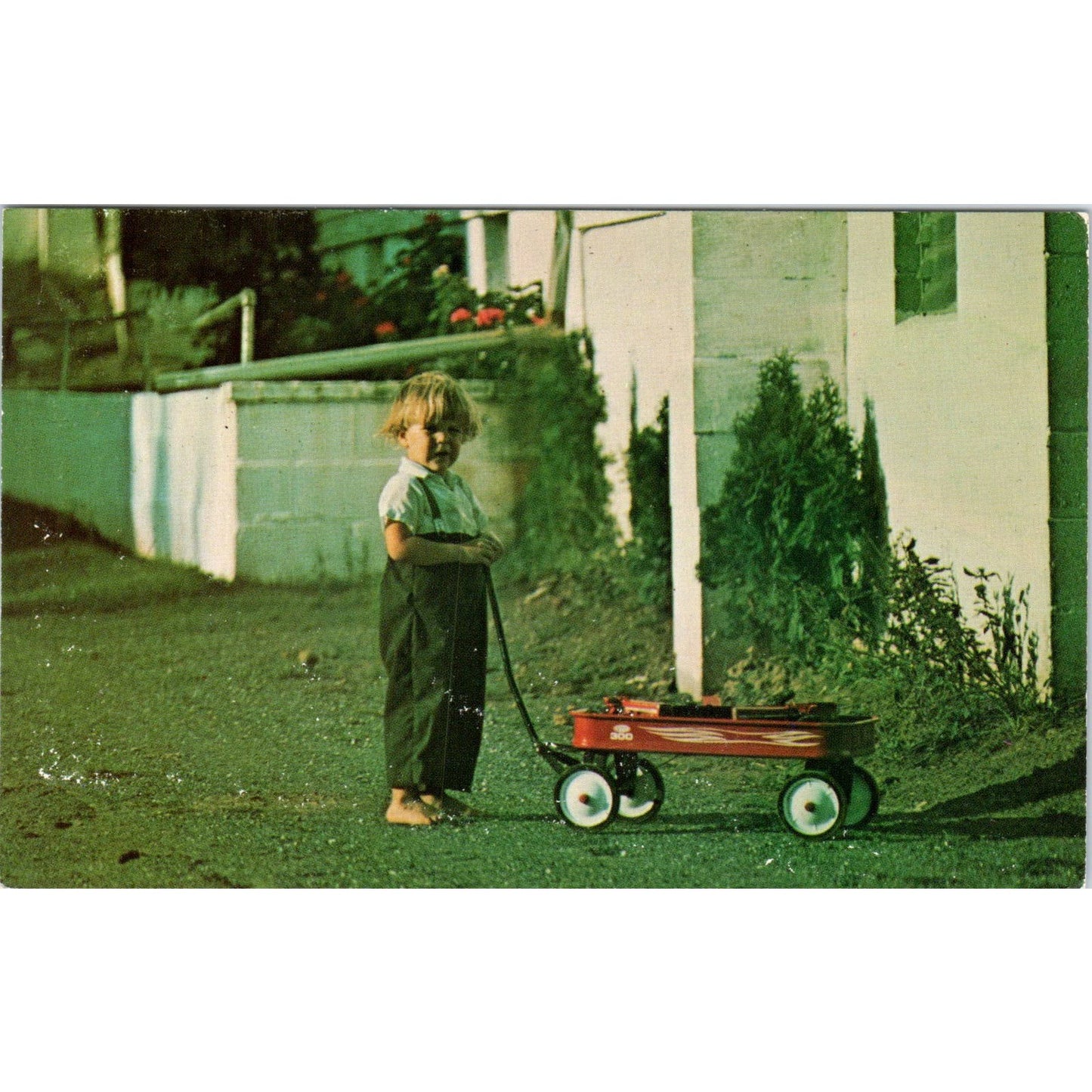 Young Amish Boy and his Red Wagon Pennsylvania Dutch Country Postcard PD8