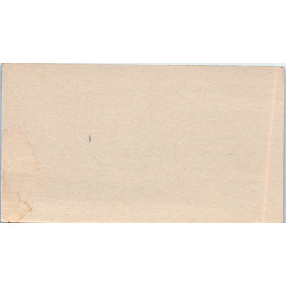 Lana Hair Designer East Bluff Coiffures Newport Beach CA Business Card SD8-B11