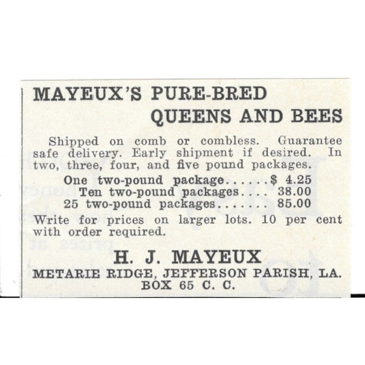 H.J. Mayeux Purebred Queens and Bees Metairie Ridge Louisiana 1926 Ad AG3-S23
