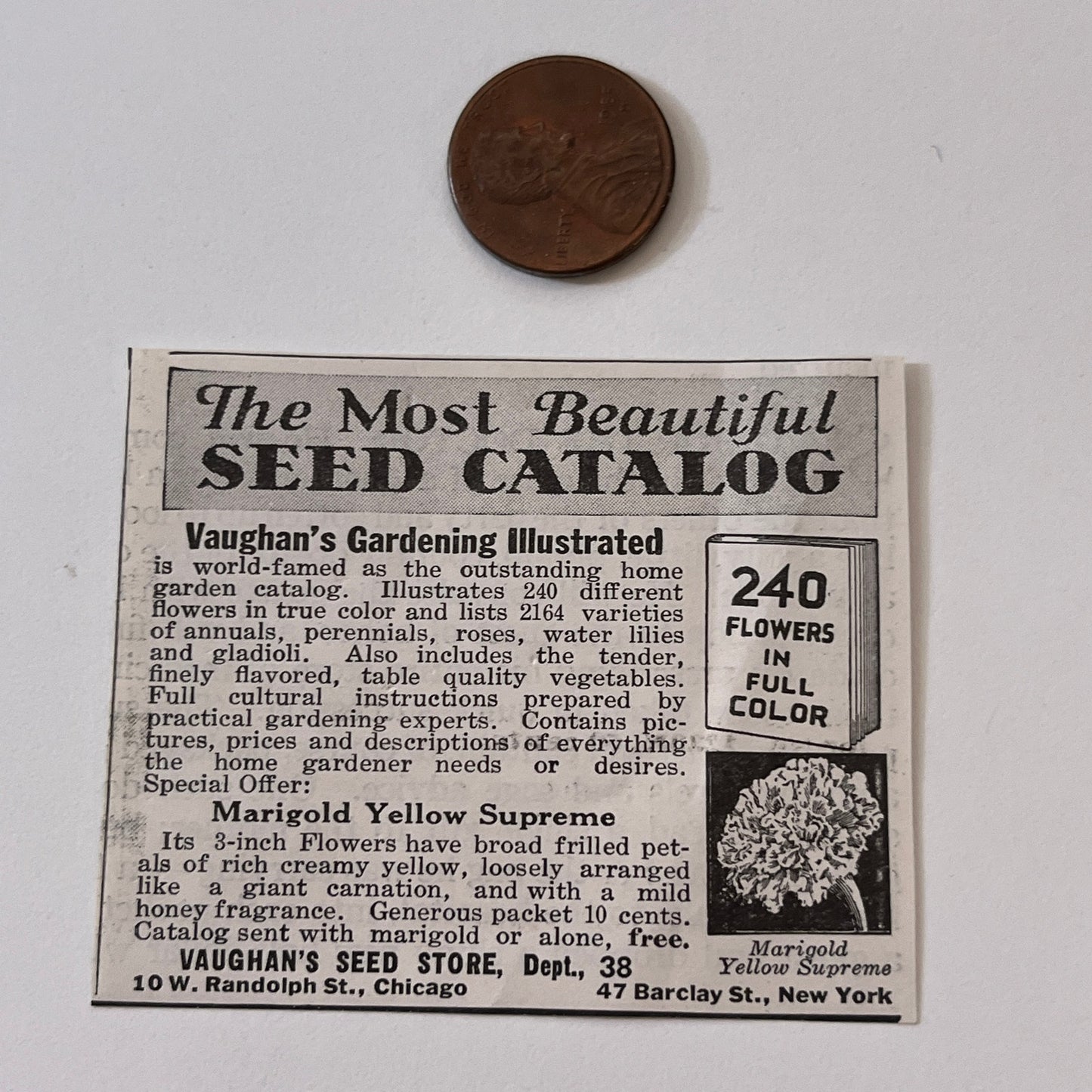 Vaughan's Seed Store Marigold Yellow Supreme Chicago IL 1936 Ad SAG4-M4