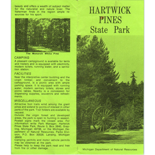 Vintage Hartwick Pines State Park Michigan Brochure TF4-B3