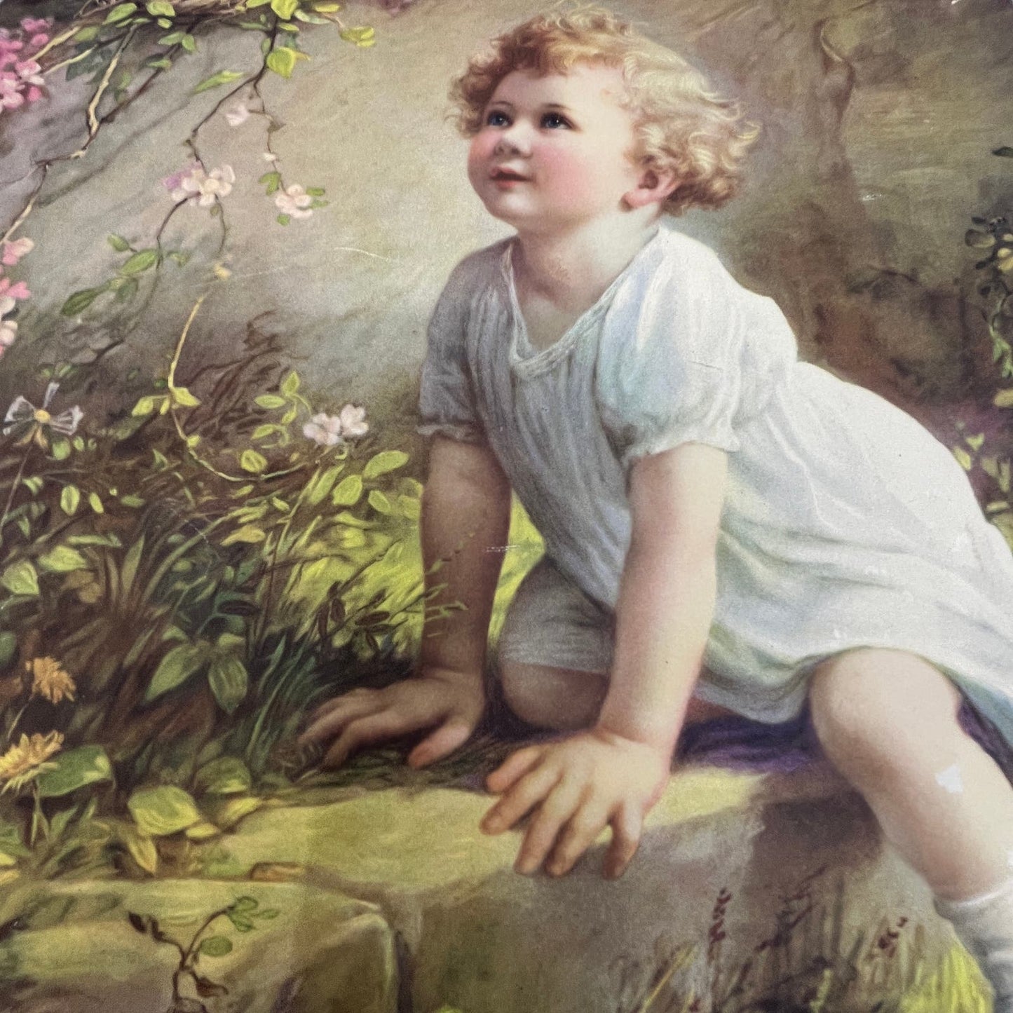 1920's Zula Kenyon Home of the Bluebird Art Print Lithograph 10x13 FL6-3