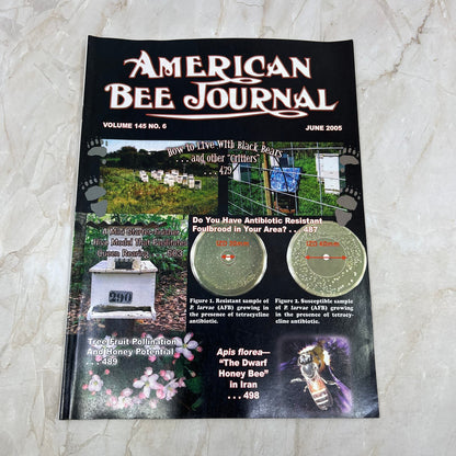 2005 June American Bee Journal Magazine Bees Beekeeping Honey M7