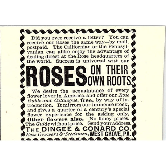 The Dingee & Conard Co West Grove PA Rose Growers 1892 Ad AG2-S26