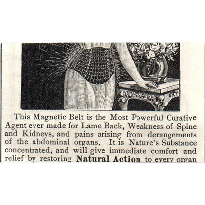 Lane's Medicine Orator F. Woodward LeRoy NY c1890 Victorian Ad AE8-CH9