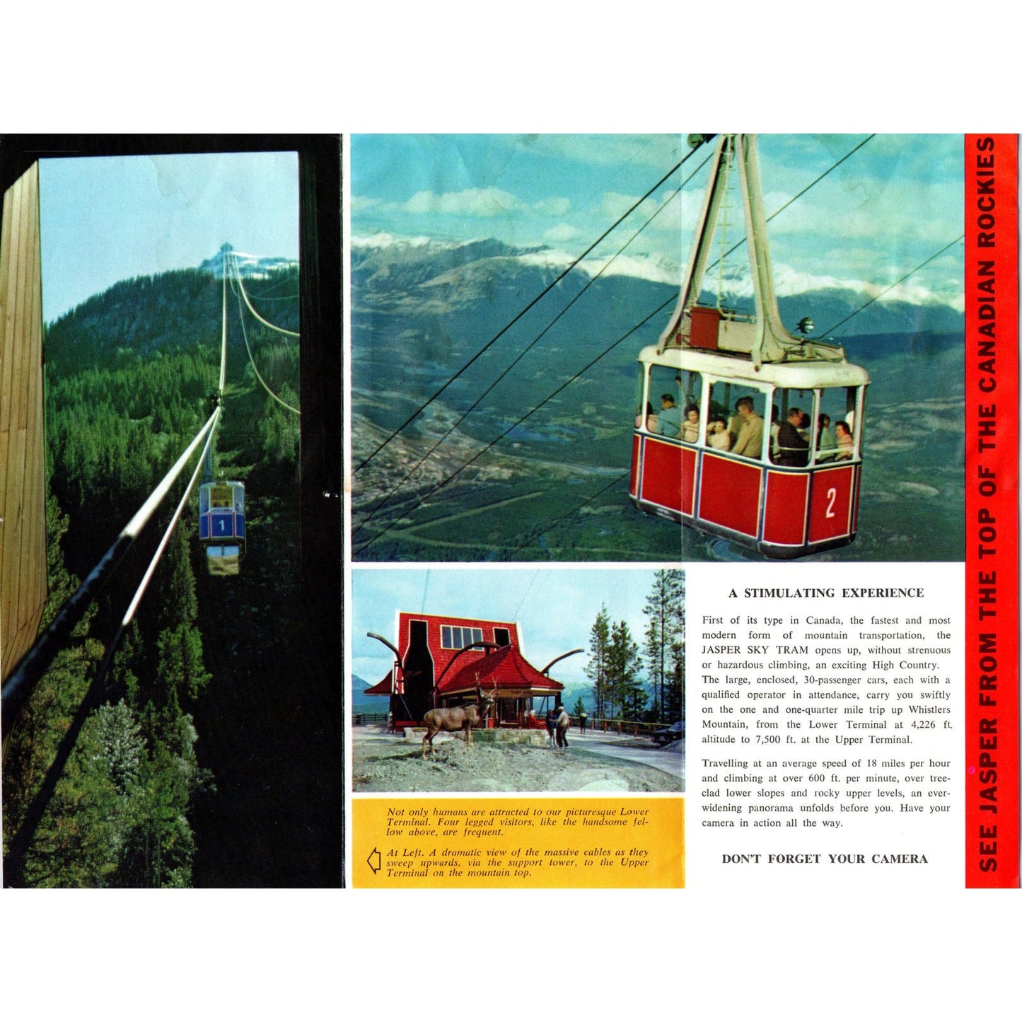 c1960 Jasper National Park Alberta Canada Sky Tram Brochure Fold Out AE2