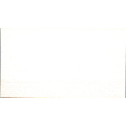 Cameo Hairstyling Grand Junction CO Vintage Business Card SD8-B19