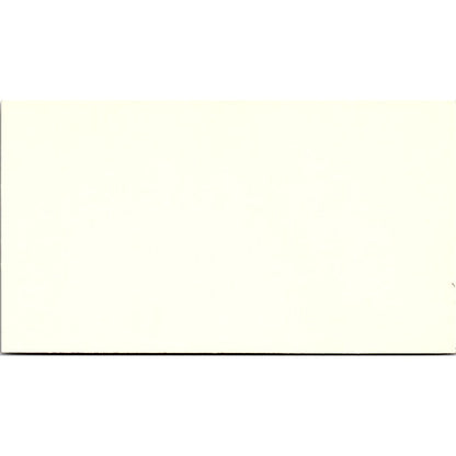 Merida Restaurant Platillos Regionales Yucatecos Houston Business Card SD9-B6