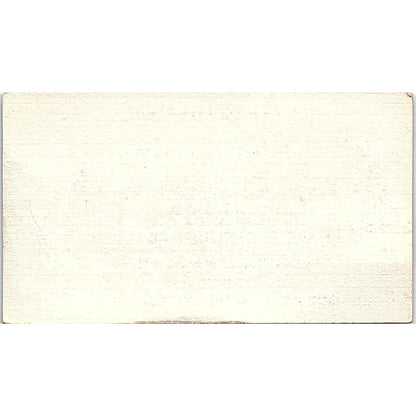 Complete Silk Floral Service, Silks by Cilla Houston, Texas Business Card SF3-B8