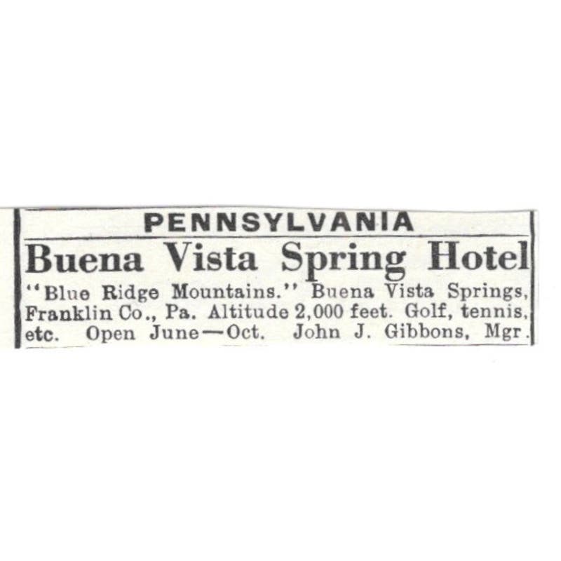 Buena Vista Spring Hotel Blue Ridge Mts John J. Gibbons c1918 Ad AE5-SV6