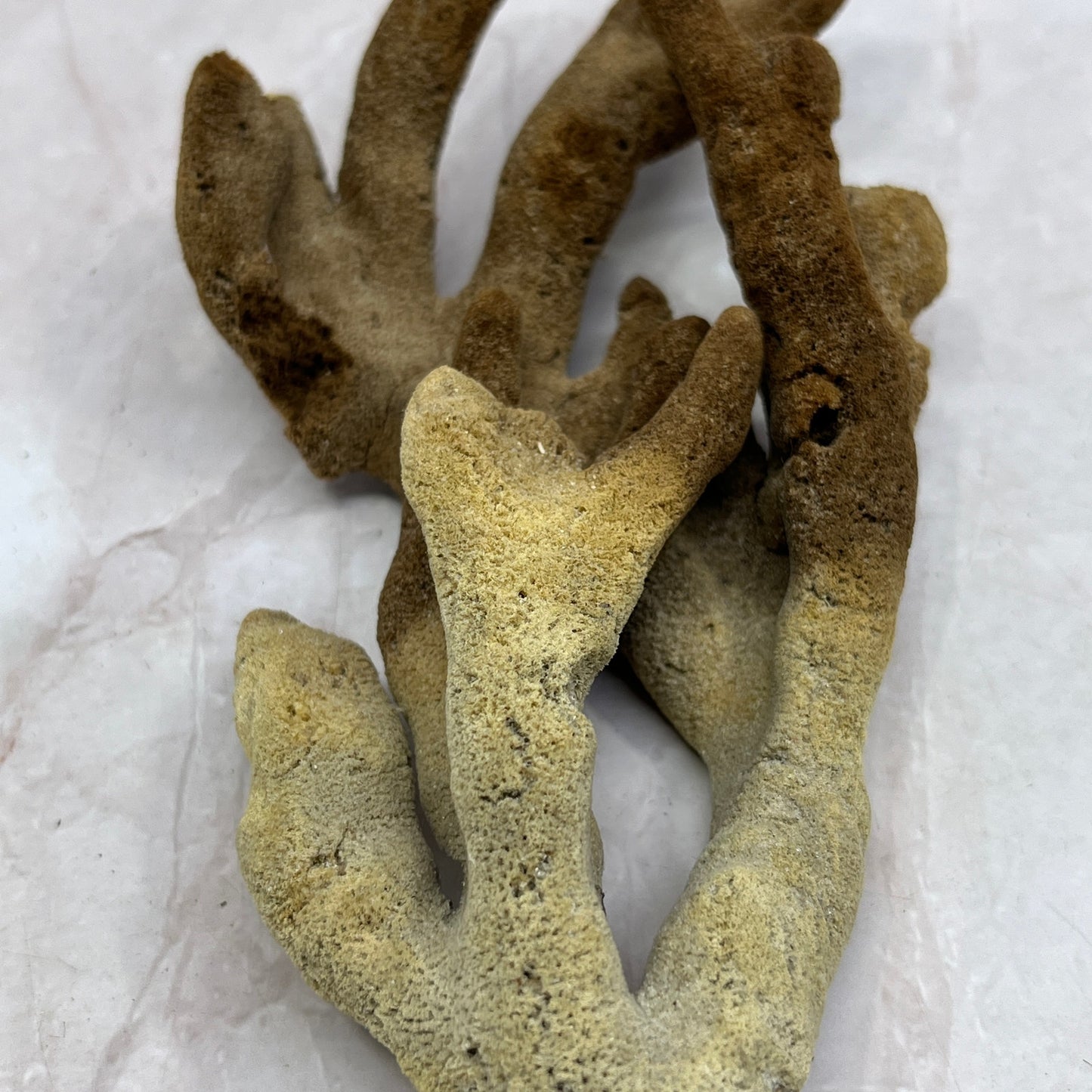 Vintage Dead Man's Fingers Ocean Sea Sponge 8" Long TG7