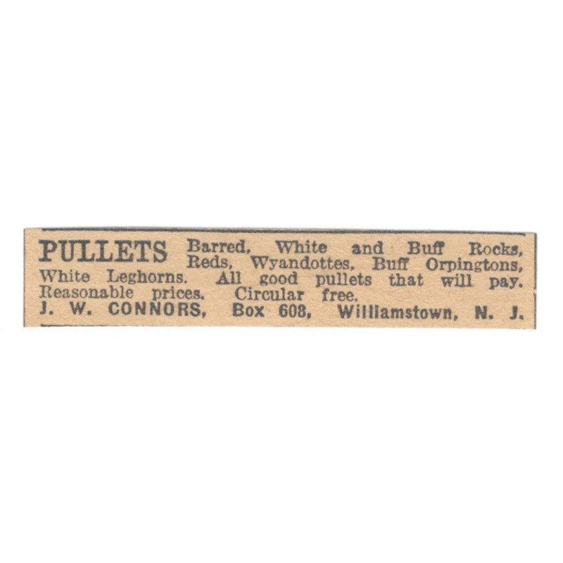 J.W. Connors Pullets Williamstown NJ 1922 Magazine Ad AF2-T1