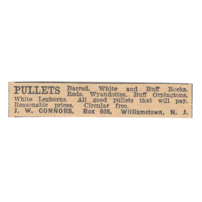 J.W. Connors Pullets Williamstown NJ 1922 Magazine Ad AF2-T1