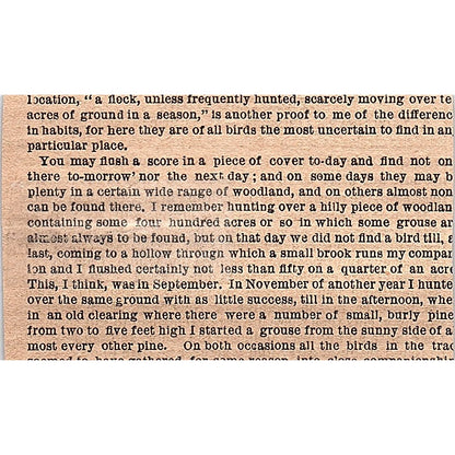 Yachting News - A Yachtsman's Opinions 1878 Article AG2-M8