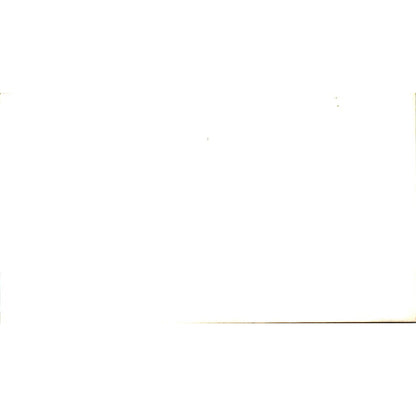 Robert A Nelson North Channel Area Chamber of Commerce Vtg Business Card SE3-B9