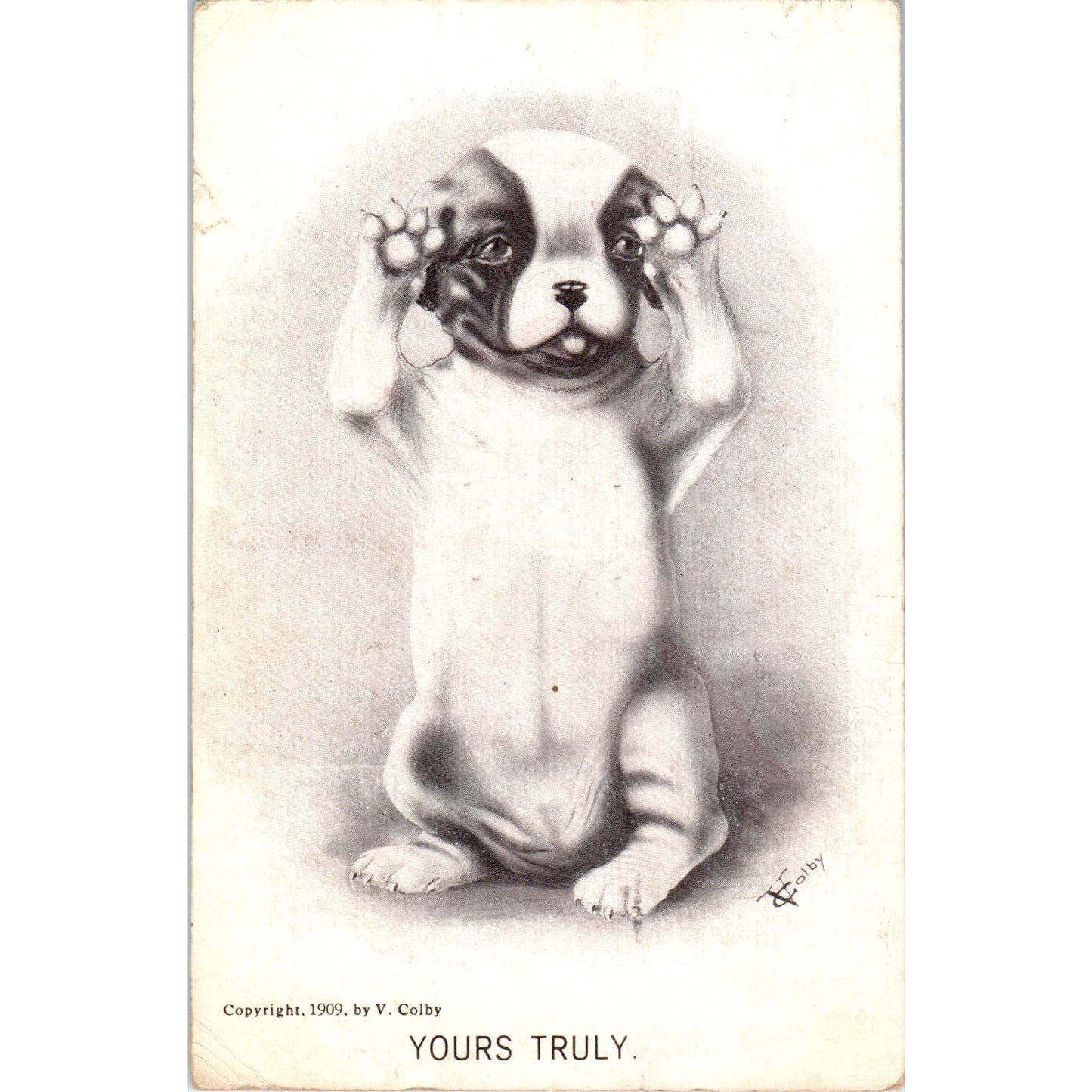 French Bulldog Puppy Yours Truly Vincent Colby Illustration 1909 Postcard PD2