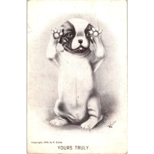 French Bulldog Puppy Yours Truly Vincent Colby Illustration 1909 Postcard PD2