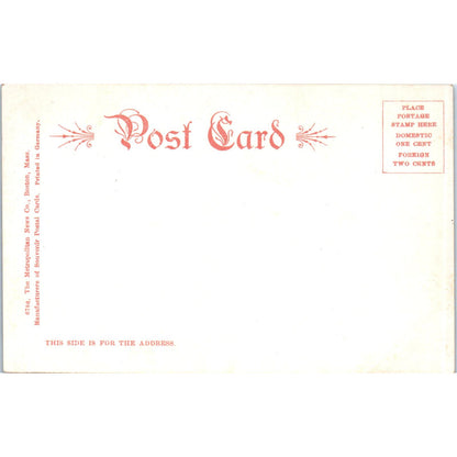 c1905 Bridge in Public Garden Boston MA Original Postcard PC9