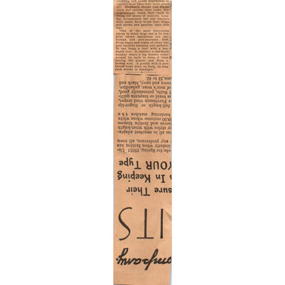 Minnesota Gophers Football Sam Hunt Andy Uram 1935 Newspaper Article AE7-N4