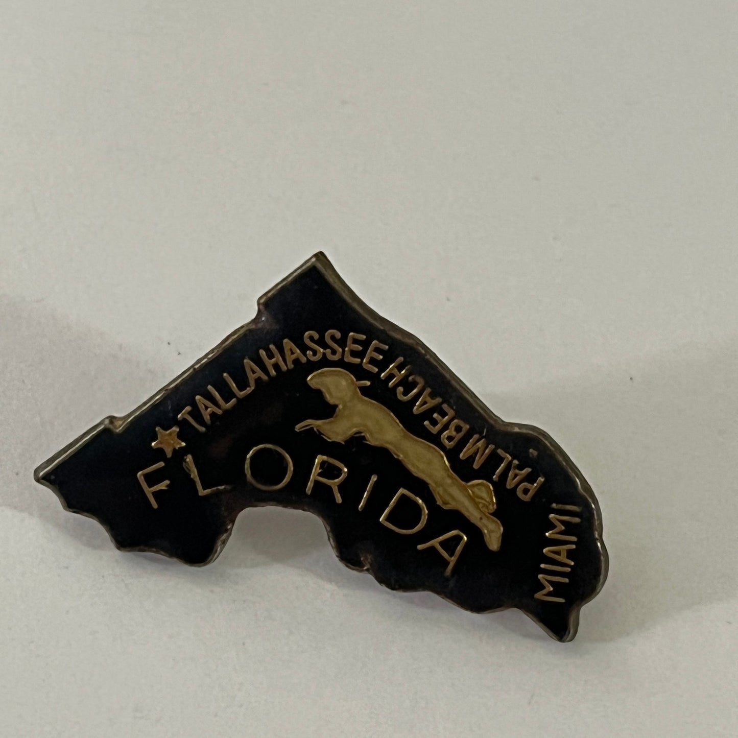 State of Florida FL Palm Beach Miami Vintage Lapel Pin Enamel Pinback Button SD6