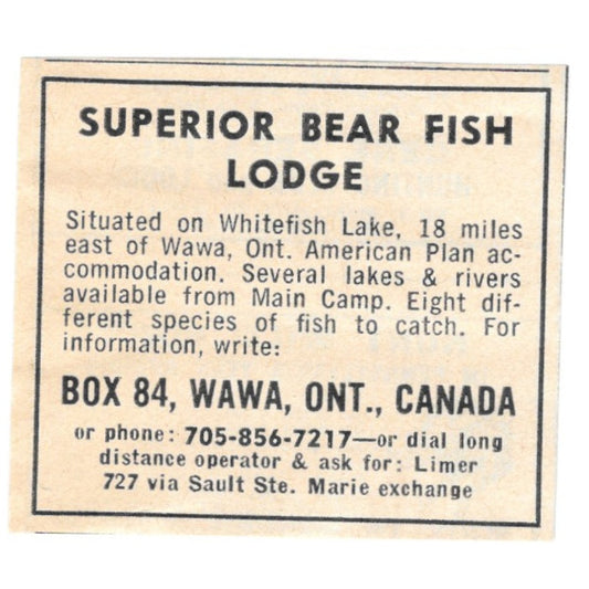 Superior Bear Fish Lodge Wawa Ontario Canada 1977 Ad AF6-S1