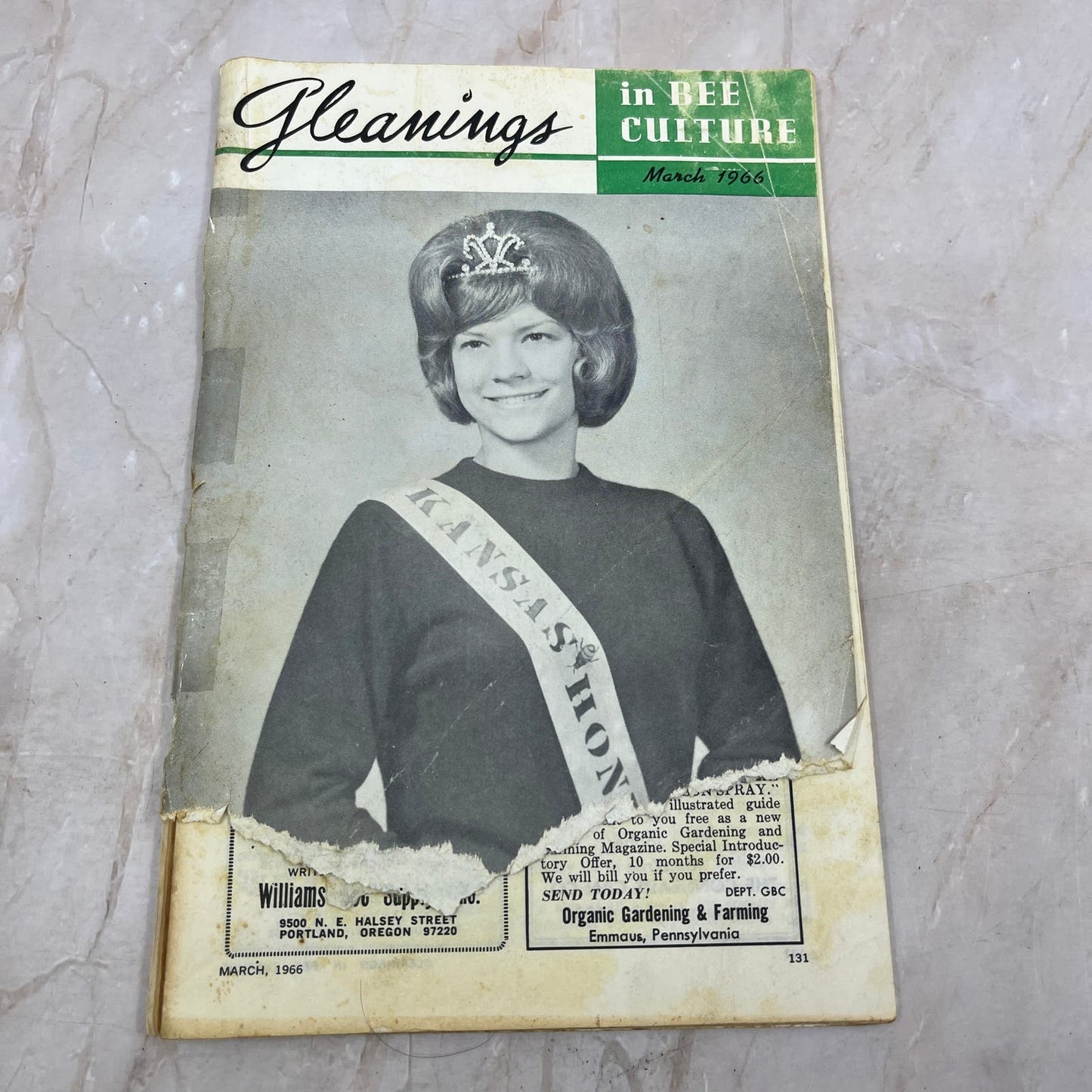 1966 March Gleanings in Bee Culture Magazine Bees Beekeeping Honey TD7