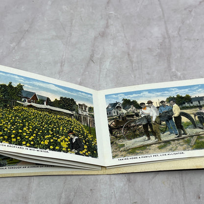 c1910 Come to Florida Souvenir Postcard Photo Booklet SD2