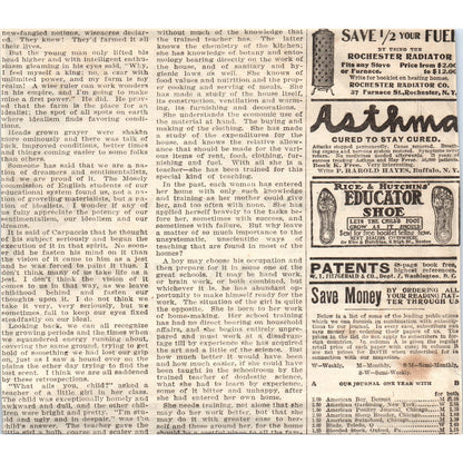 American Fence American Steel & Wire Co 1905 Magazine Ad AF1-NEH