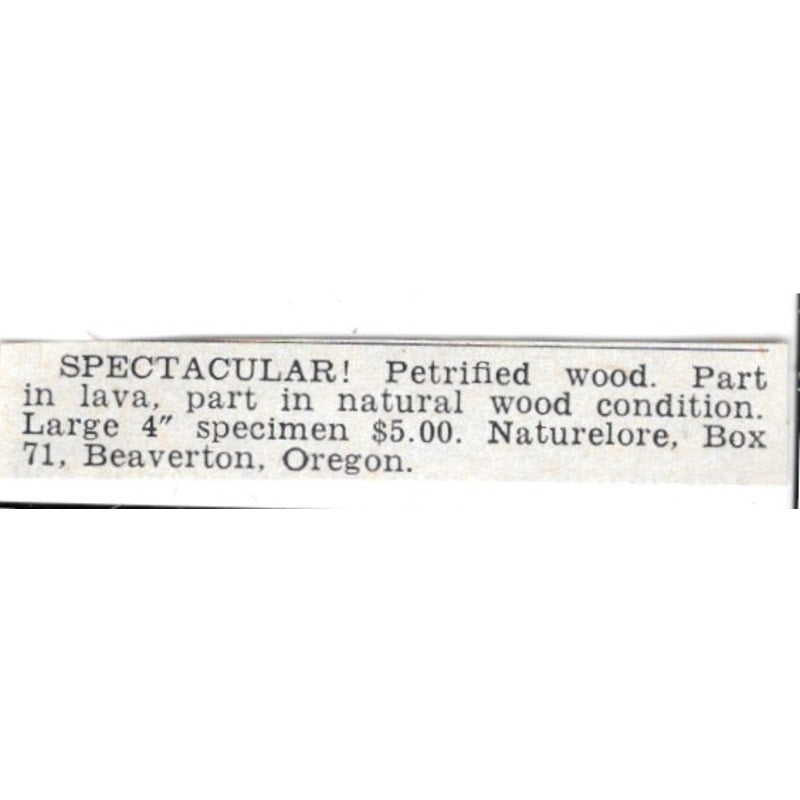 Petrified Wood - Naturelore, Beaverton Oregon 1955 Ad AG1-S6