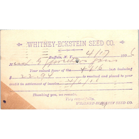 1906 Whitney-Eckstein Seed Co Buffalo NY Payment Receipt Postal Card AE8