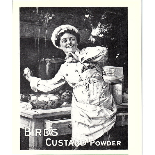 Bird's Custard Powder Ad Vintage Art Print 5x7" V17