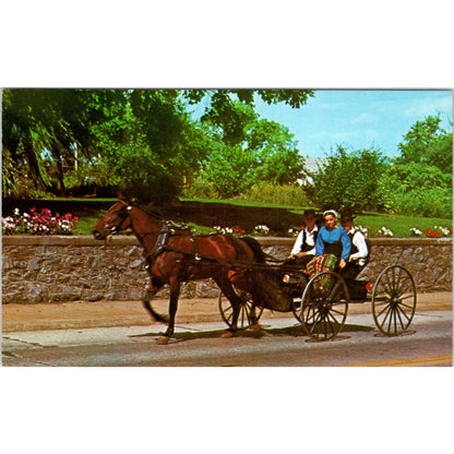 Amish People on Buggy Ride After Church Pennsylvania Dutch Country Postcard PD8