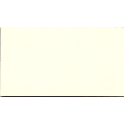 Wayne Rogers Consultant 123 Red Bug Lane Raytown  Vintage Business Card SF3-B6