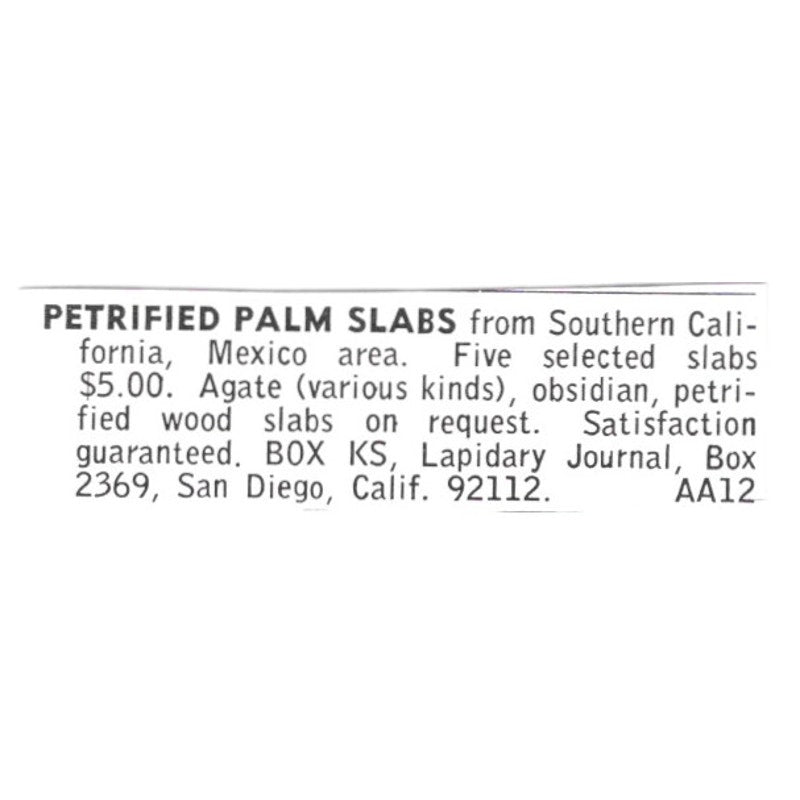 Petrified Palm Slabs - Lapidary Journal - San Diego CA 1972 Ad AF8-S9