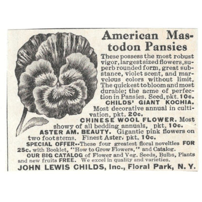 American Mastodon Pansies John Lewis Childs Floral Park NY 1918 Ad AF1-SS3