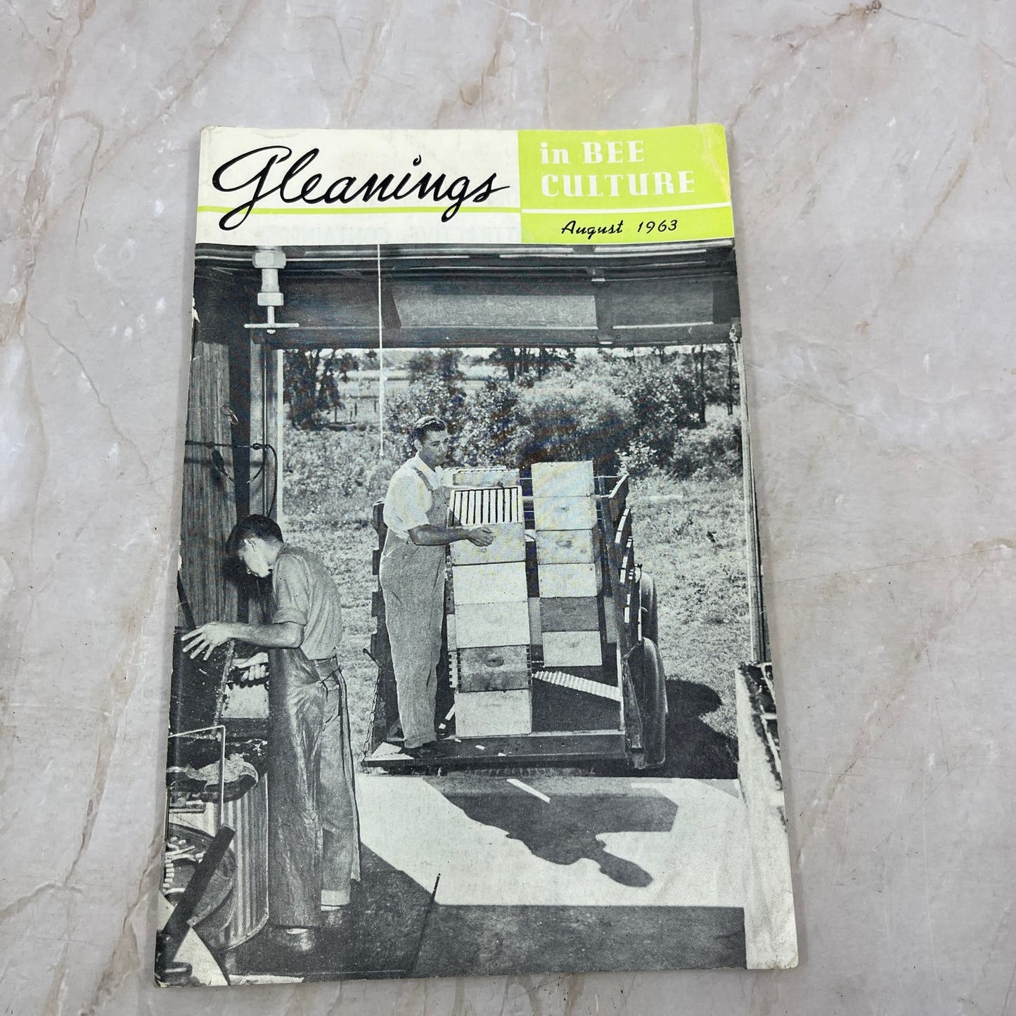 1963 August Gleanings in Bee Culture Magazine Bees Beekeeping Honey TD7