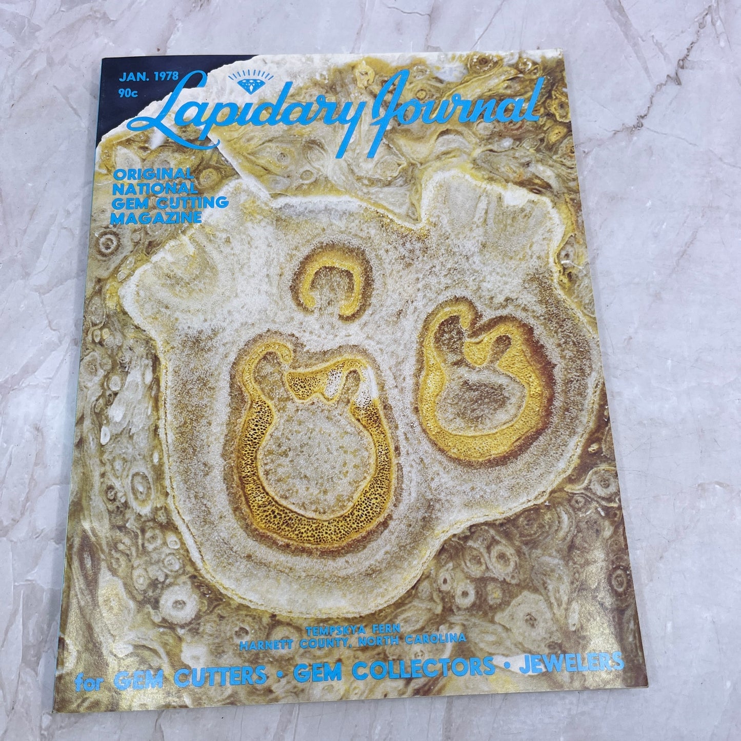 Tempskya Fern Harnett County NC - Lapidary Journal Magazine - Jan 1978 M27