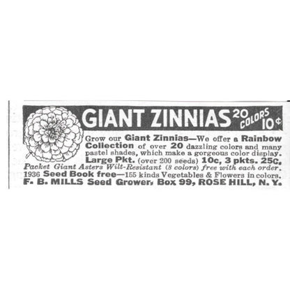 F.B. MILLS Seed Grower Giant Zinnias Rose Hill NY 1936 Ad SAG4-S12