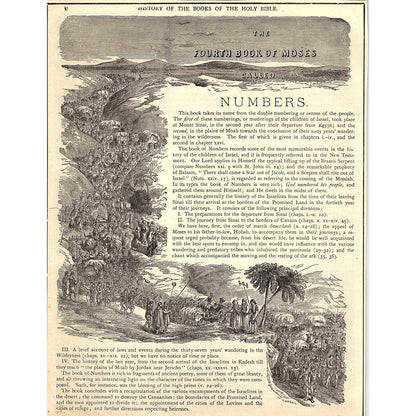 The Fourth Book of Moses Called Numbers 1892 Bible Engraving SAG4-9