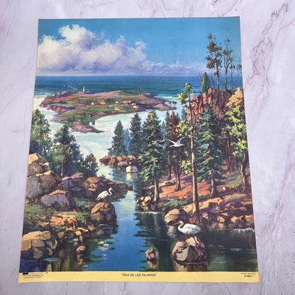 Isla De Los Pájaros Vintage Mexican 12x14" Art Print V21