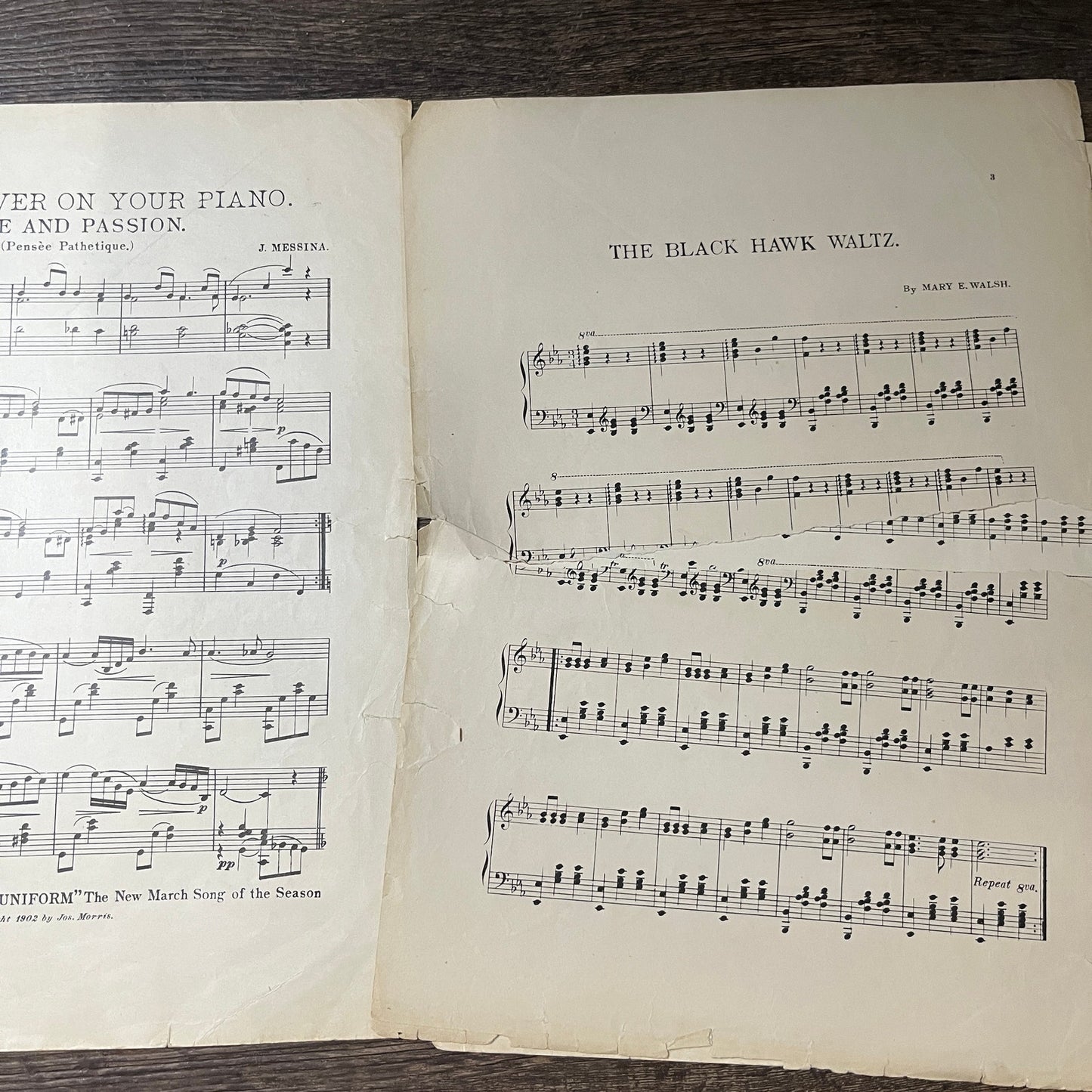 Black Hawk Waltzes Mary E. Walsh 1902 Sheet Music V13