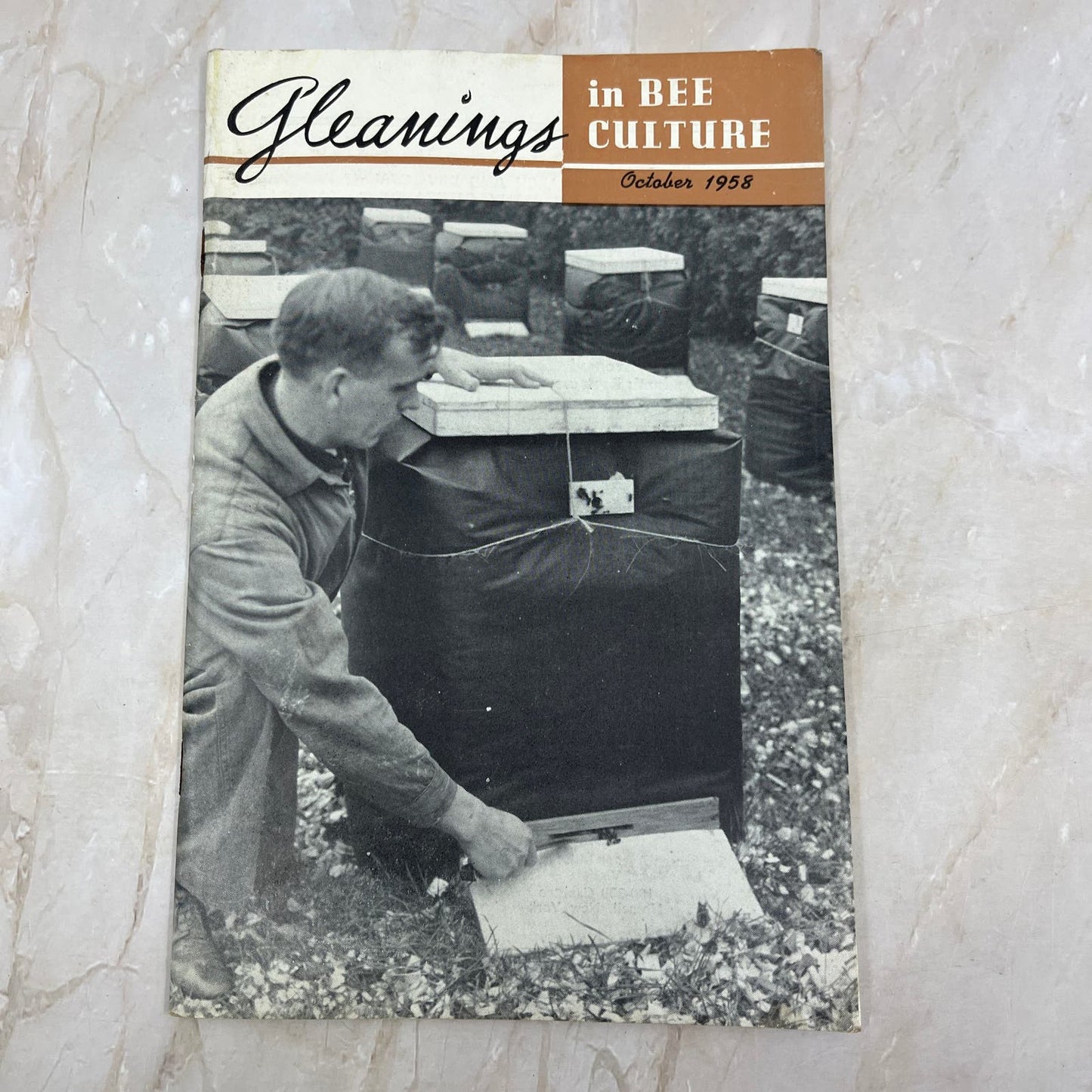 1958 Oct Gleanings in Bee Culture Beekeeping Magazine A.I. Root Co Medina OH TD5