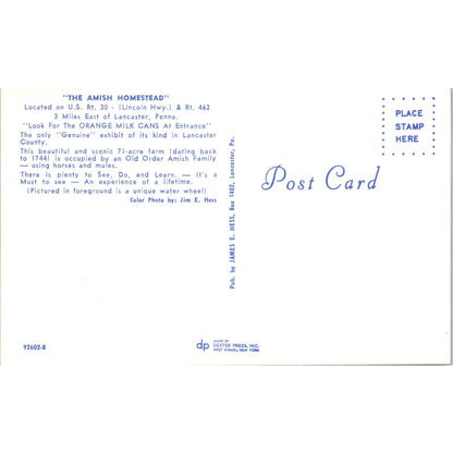 Amish Homestead Lancaster Pennsylvania Dutch Country Vintage Postcard PD5